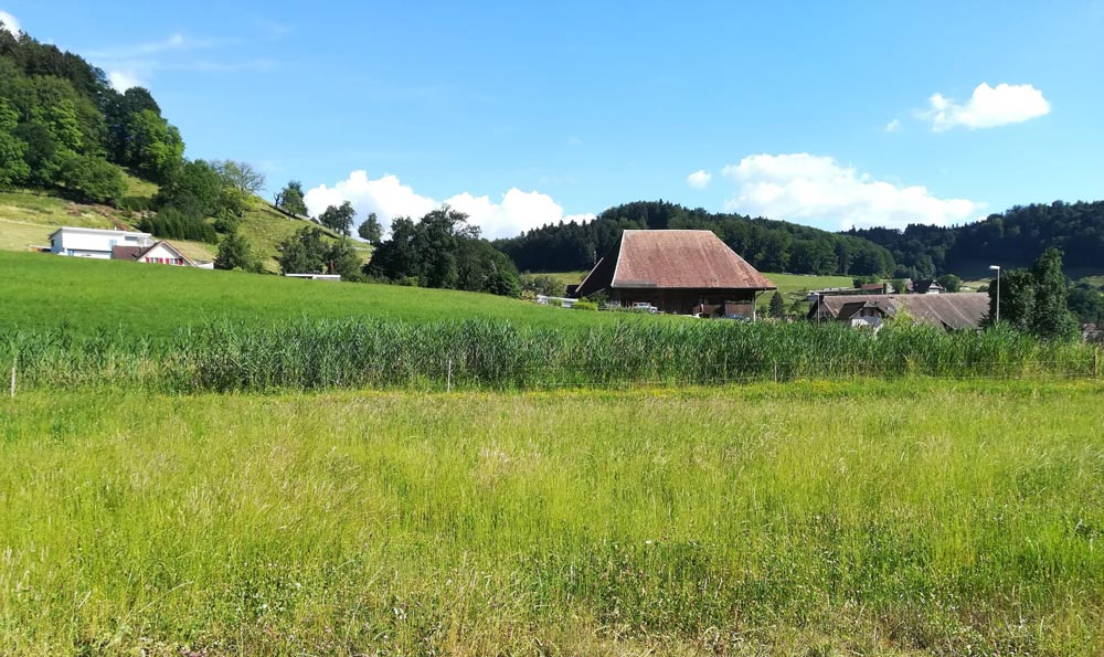 Vastu Beratung das perfekte Bauland