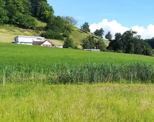 Vastu-Beratung Bauland finden